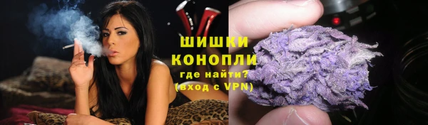 прущие грибы Солнечногорск