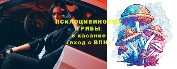 ГАЛЛЮЦИНОГЕННЫЕ ГРИБЫ Болотное
