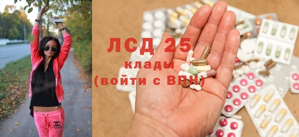 ГАЛЛЮЦИНОГЕННЫЕ ГРИБЫ Болотное