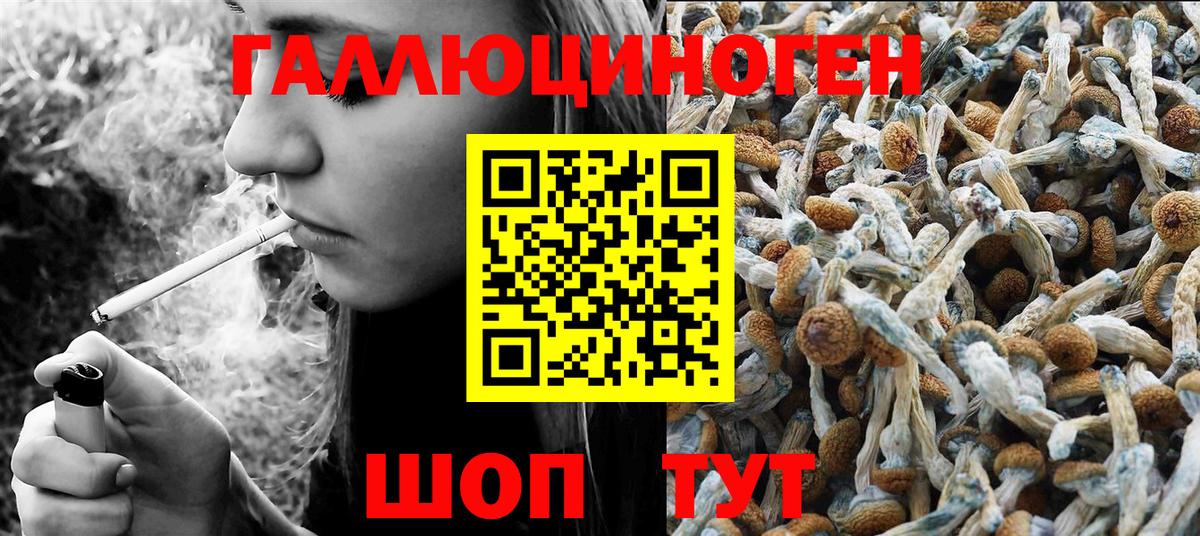 Урюпинск  Галлюциногенные грибы мицелий  Вход с VPN 